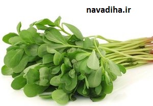 خرفه17-4.jpg