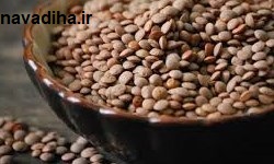 عدس29-3.jpg