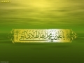 ولادت امام هادی (ع) (11)_Copy1