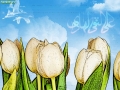 ولادت امام هادی (ع) (7)_Copy1