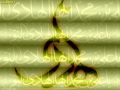 ولادت امام هادی (ع) (8)_Copy1