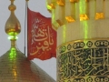 karbala (6)