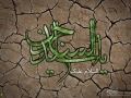 shahadate emam sajjad (6)