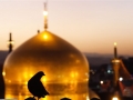 emam-reza-navadiha.ir (1)