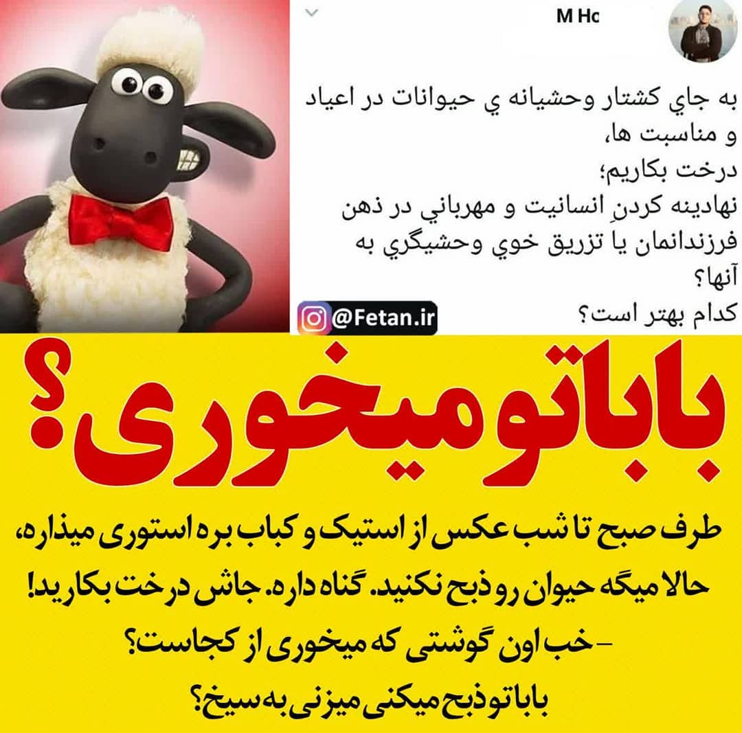 سلبریتی و ذبح گوسفند در عید قربان و خوردن کباب (۲)