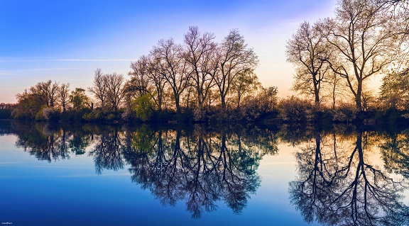 تک عکس ار دریاچه، درختان و غروب – WIDE HD – کیفیت عالی