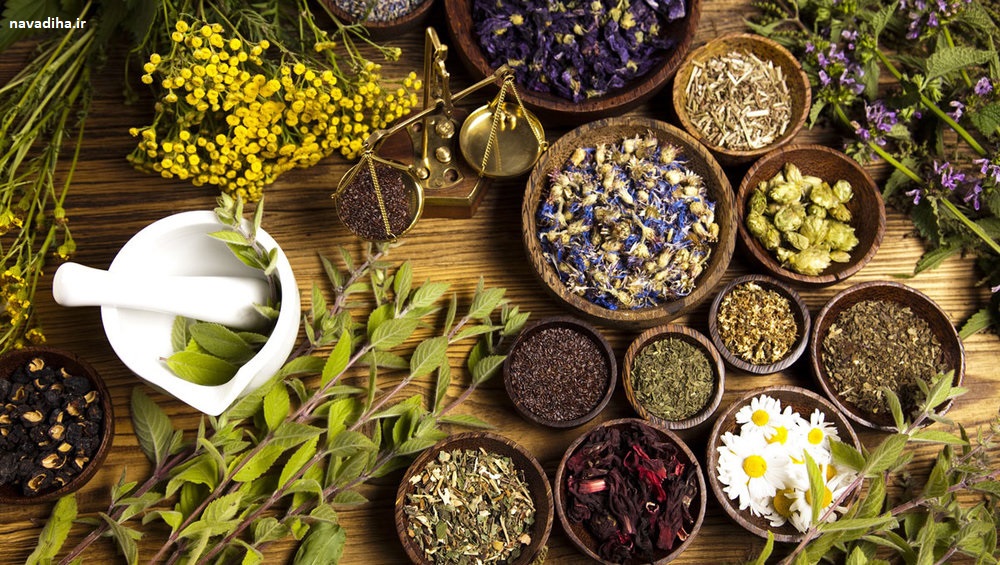 طب سنتی نودیها