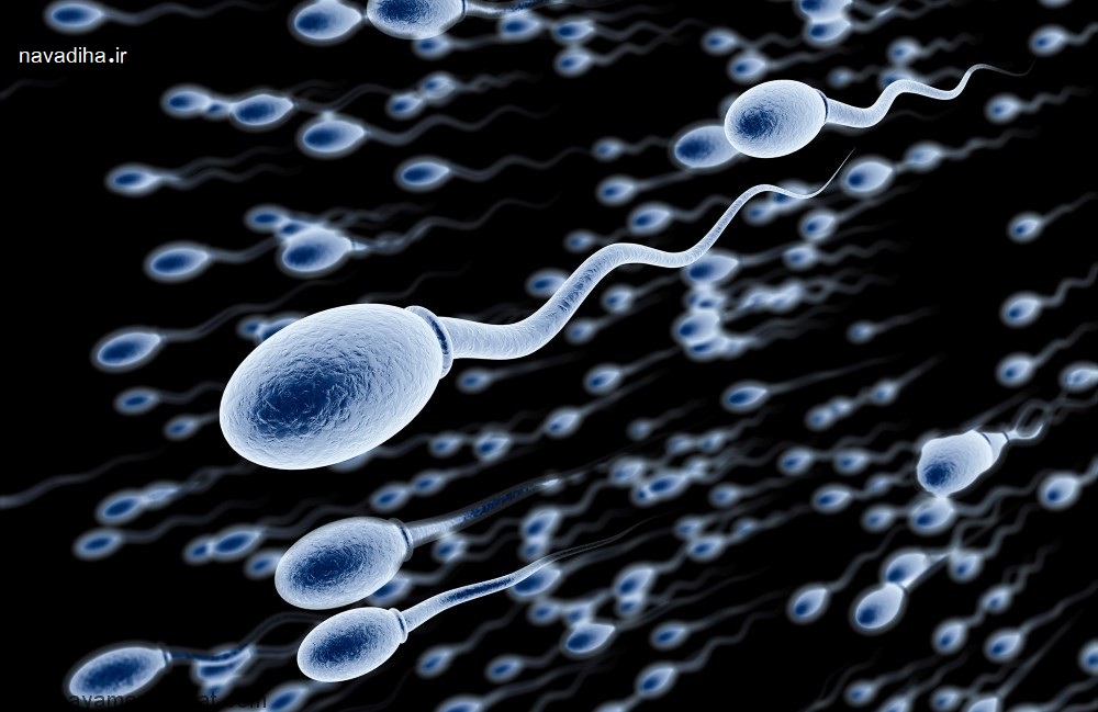 راههای افزایش قدرت و حجم اسپرم و منی