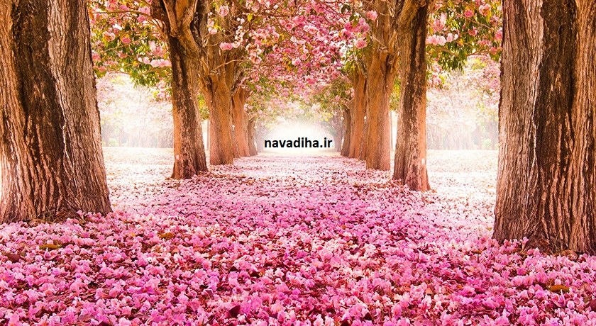 دعای-تحویل-سال-با-صدای-مرتضی-حیدری[۱]