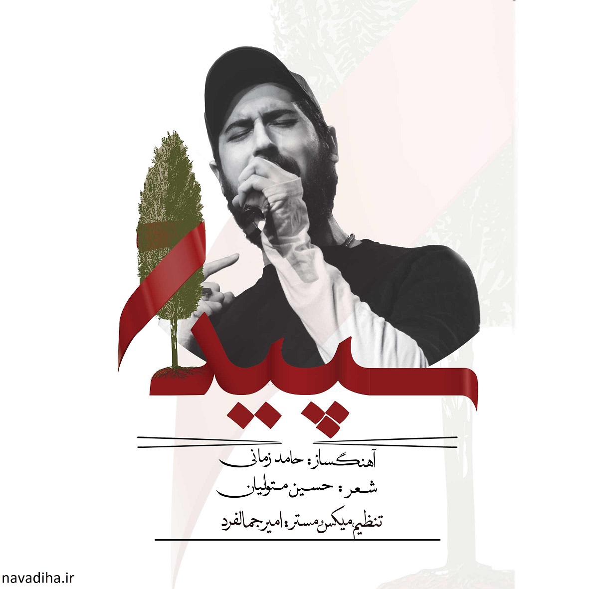 سپیدار حامد زمانی