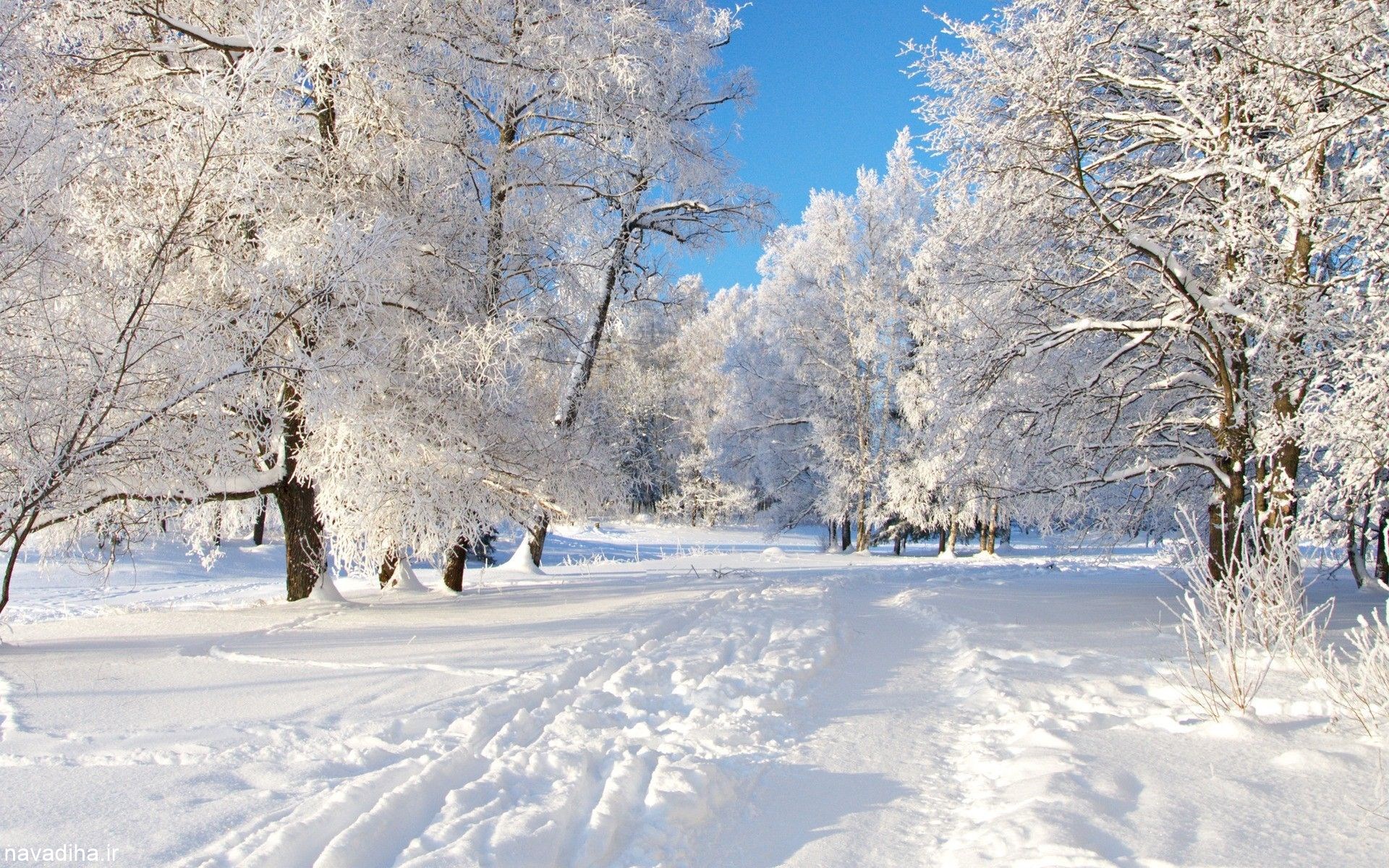 طبیعت زیبای زمستان کیفیت عالی (۳)