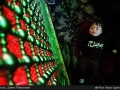 shia-muslim-moharram-and-ashura-day (66)